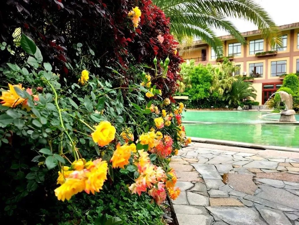 倒春寒真的来了注意保暖,广元天赐温泉冬天旅游攻略