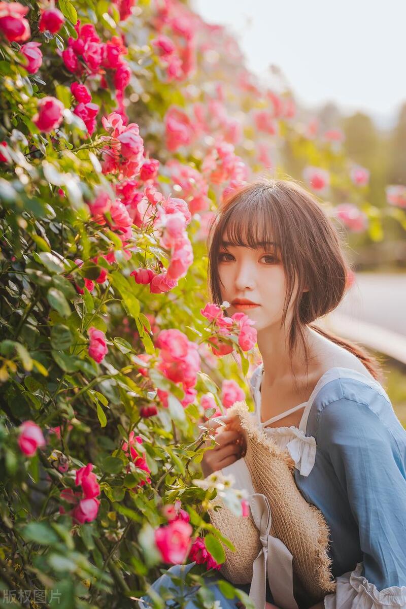 全自动搬砖赚钱项目,手机游戏搬砖赚钱项目