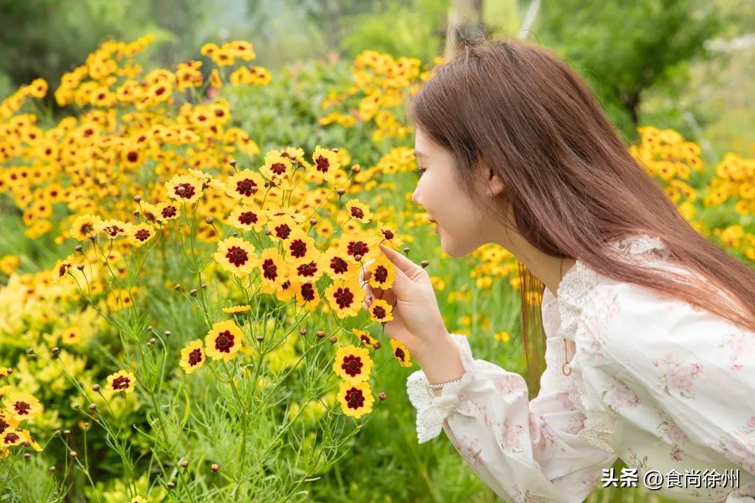 徐州最顶级酒店,徐州五星级酒店体验
