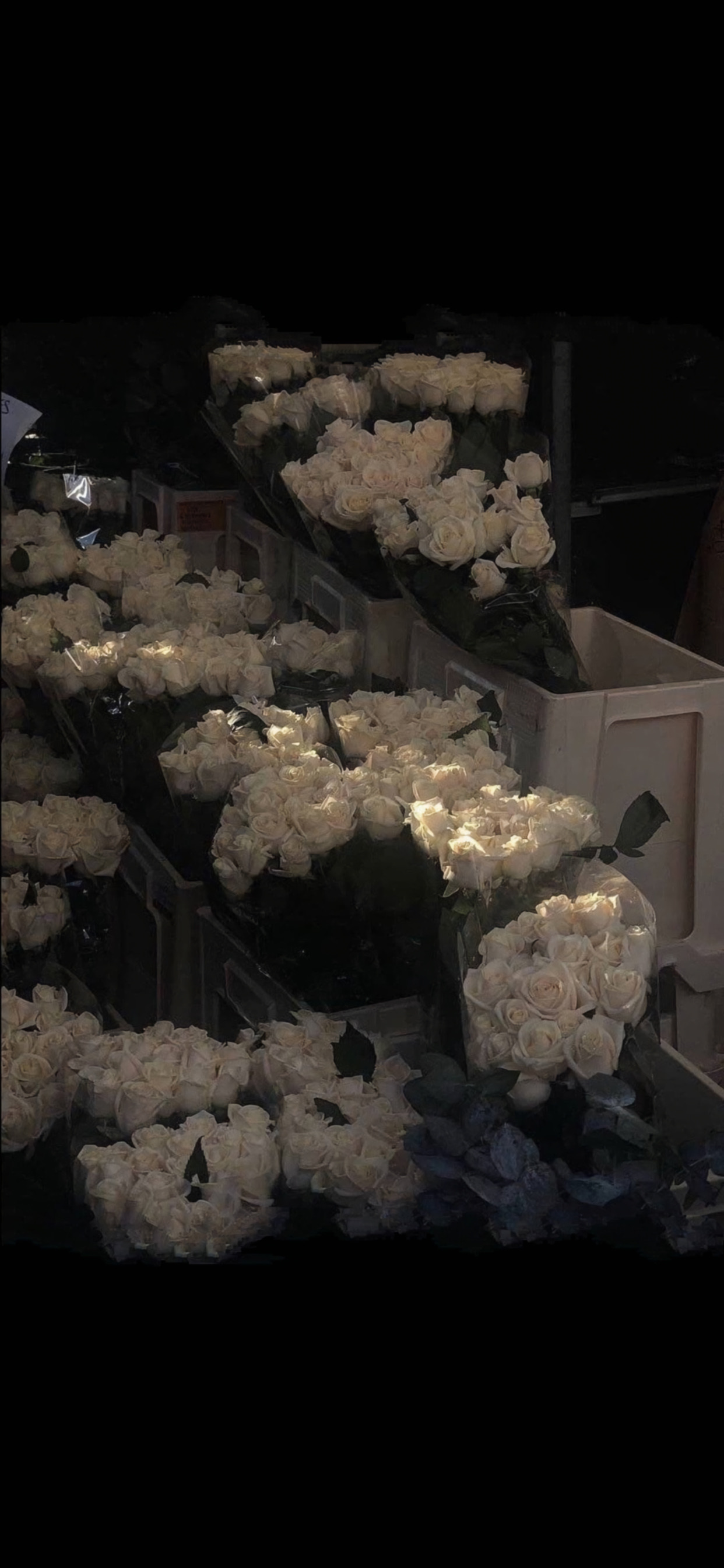 分享一些爆好看的手机壁纸,精挑细选90张最适合你的手机壁纸