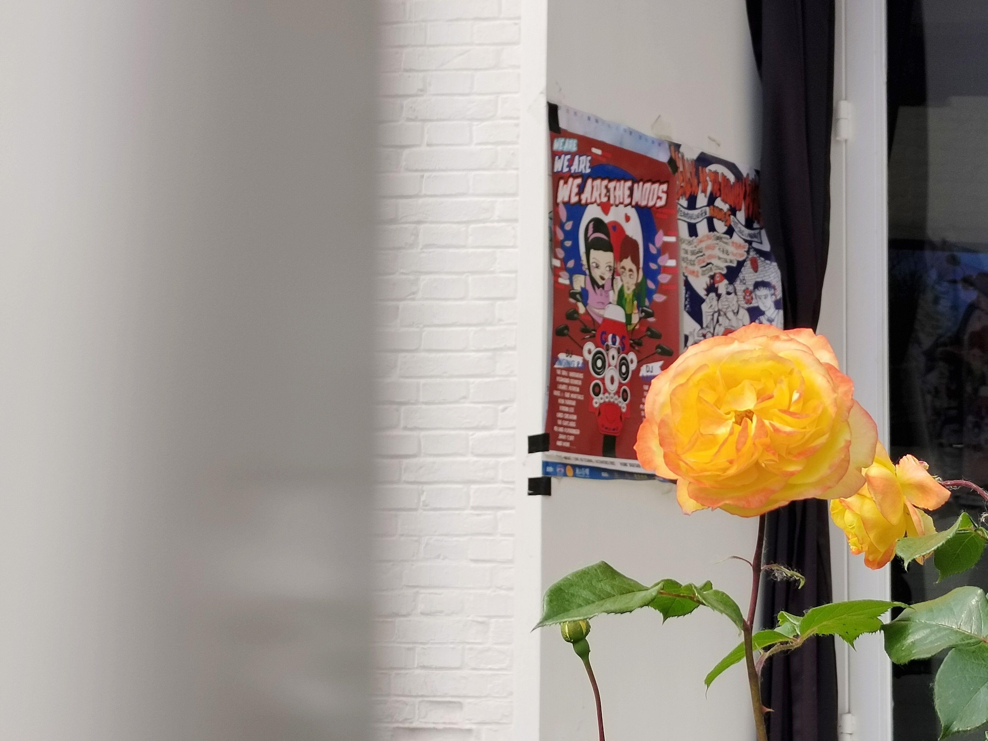 iqooneo6se要买最高配吗,iqooneo6se870是巅峰版吗