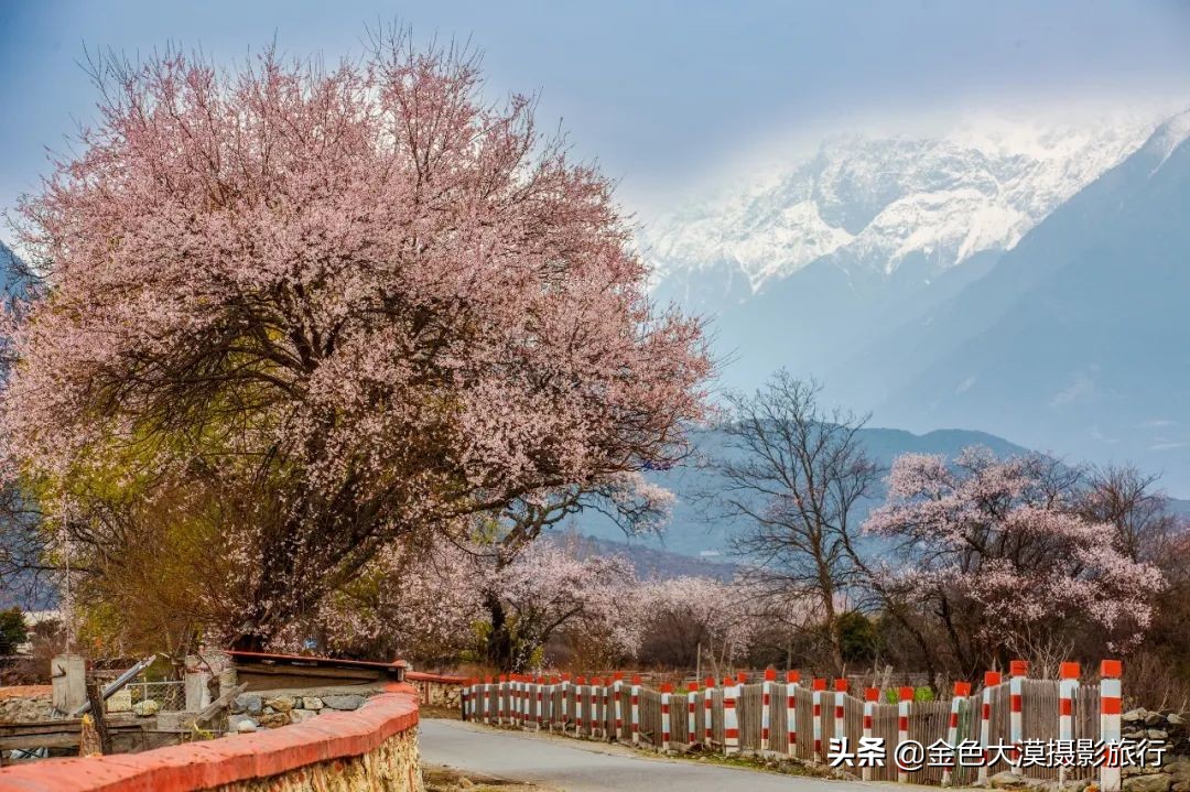 3月份去西藏林芝,3-4月去西藏林芝好玩吗
