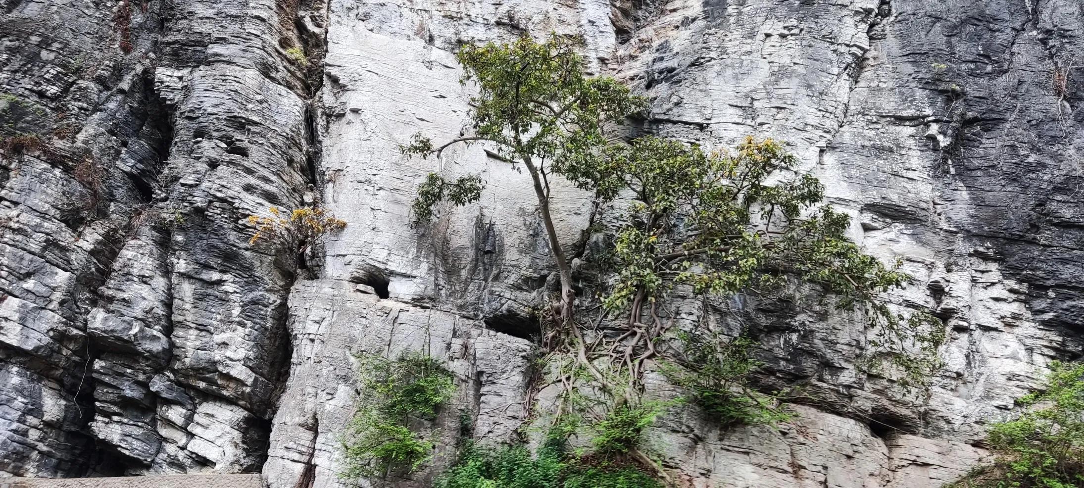 统景温泉视频,统景温泉旅游一日游