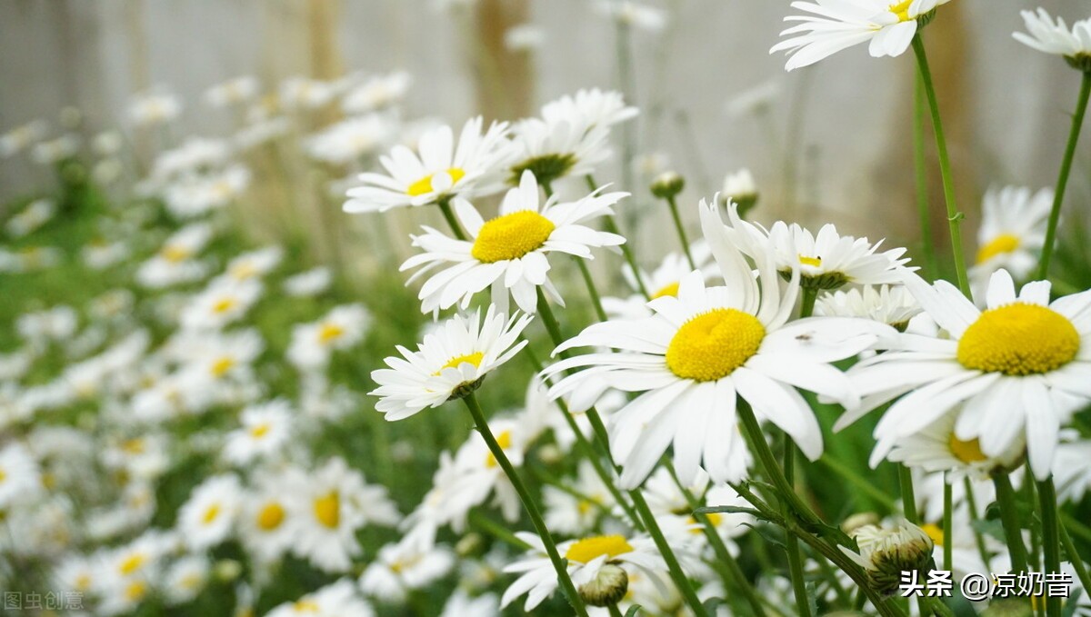 当你老眼昏花时,你能做些什么?六个选择,为你答疑解惑