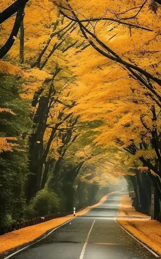 全网有没有像我这样的，请举手