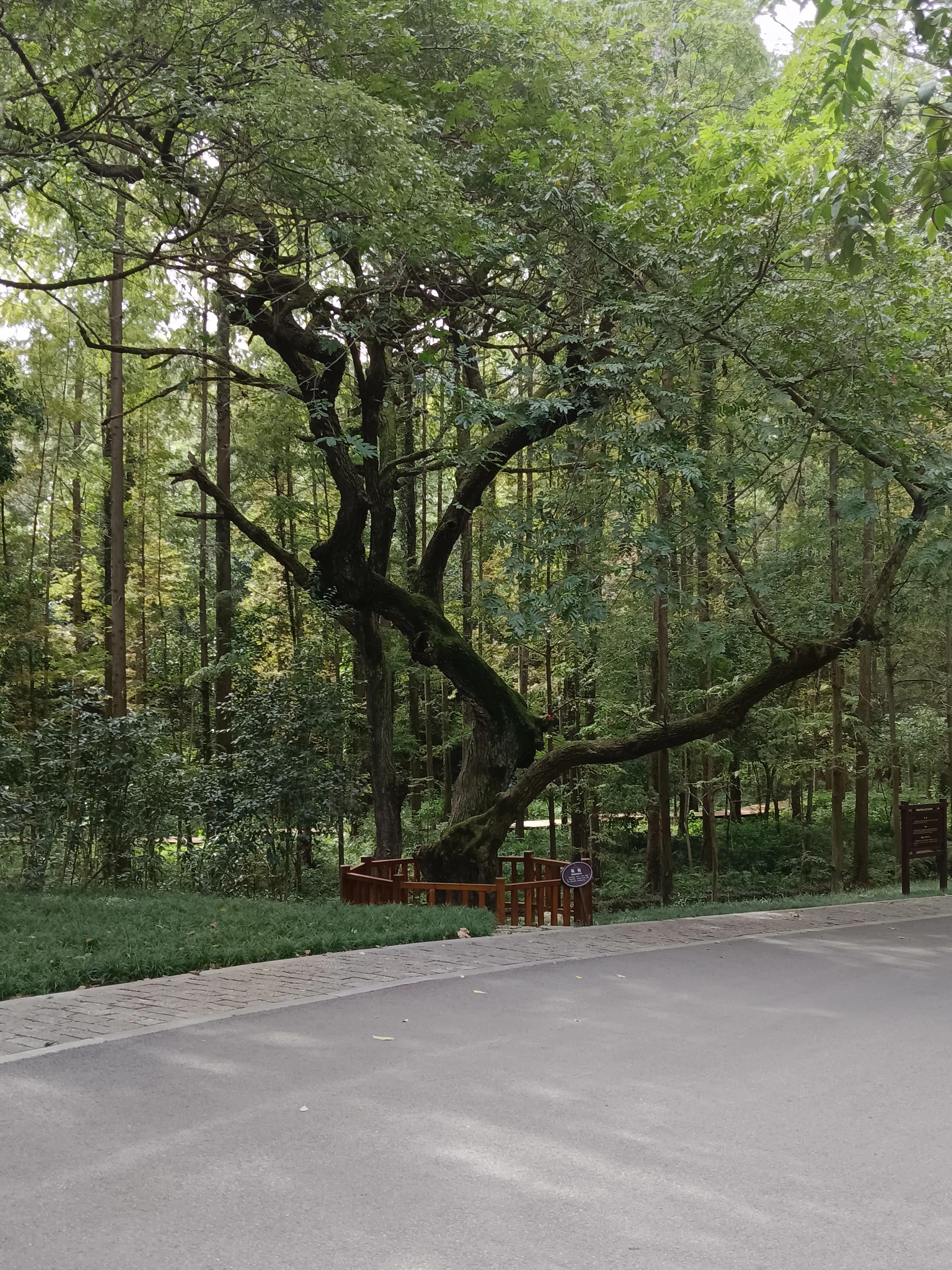 顾太健最新文章,顾太健视频