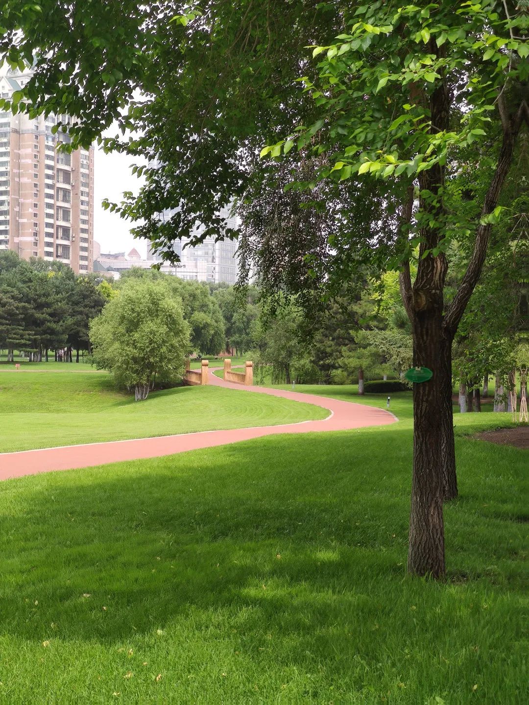 黑龙江有多美好图片,记忆中的黑龙江图片