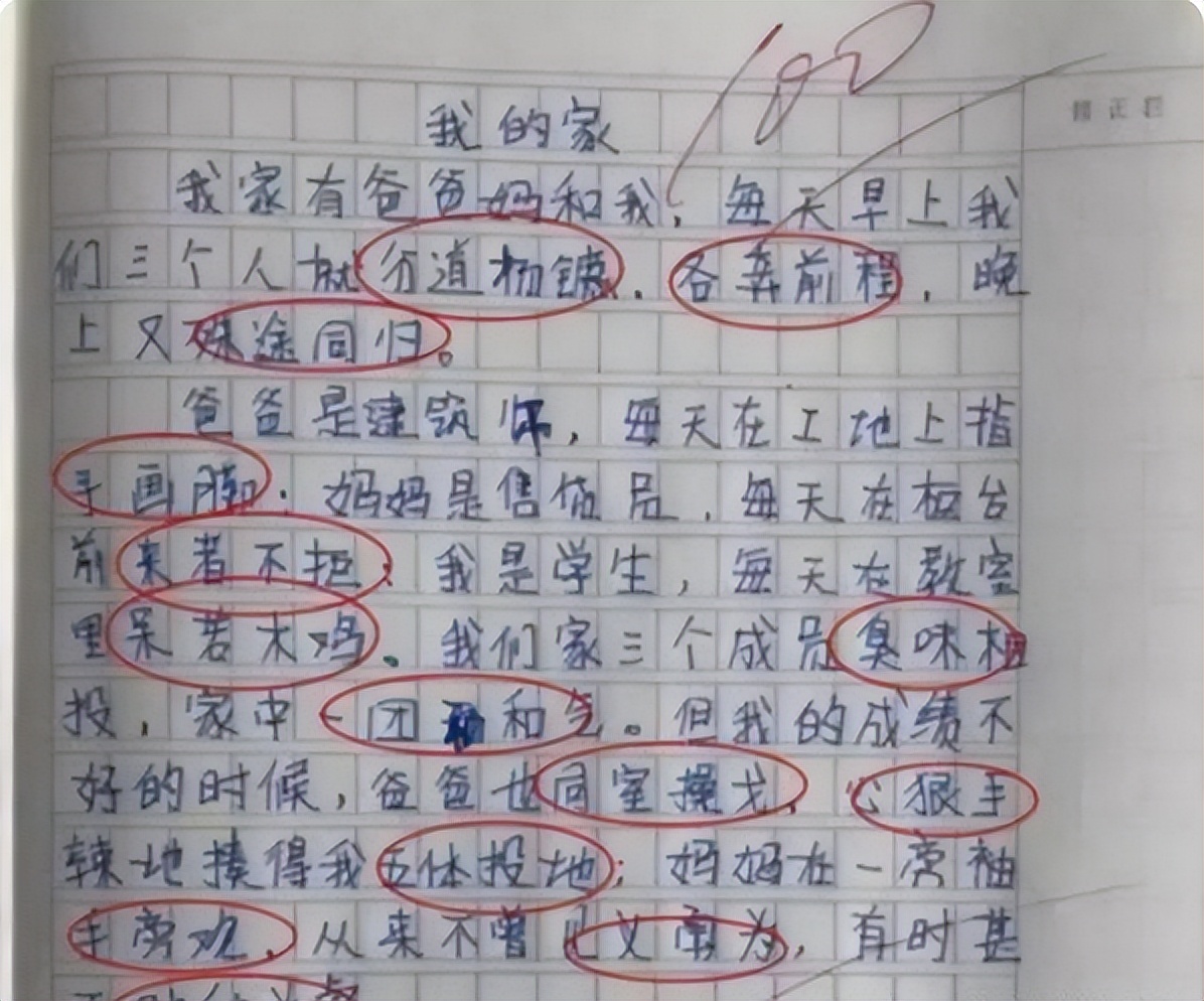 小学生逆天作文女人,10岁小学生作文爆火