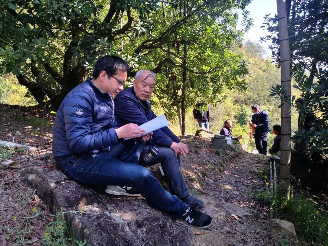 杨梅生活在什么气候中,东魁杨梅生长气候