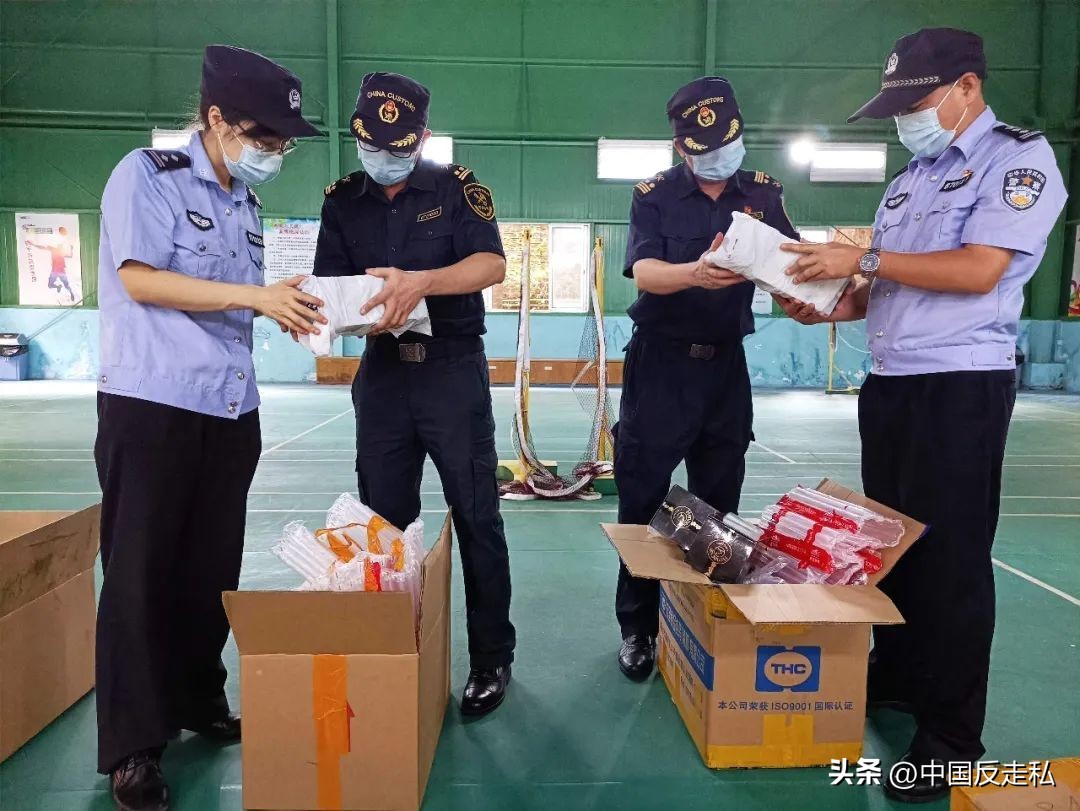 湛江海关缉私局走私最新新闻,湛江海关缉私事件