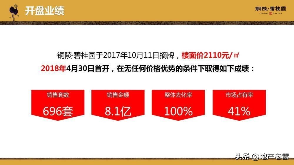 碧桂园房地产竞品分析,碧桂园房地产价格策略