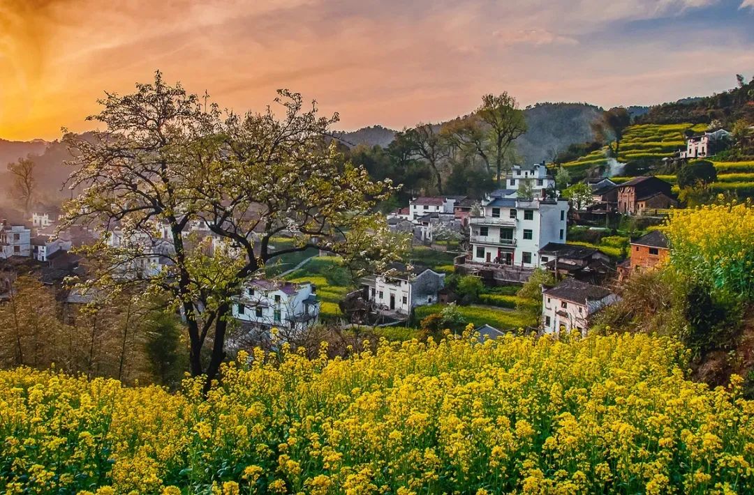 2020梦幻之秋婺源三天摄影创作团,醉美婺源摄影地点推荐