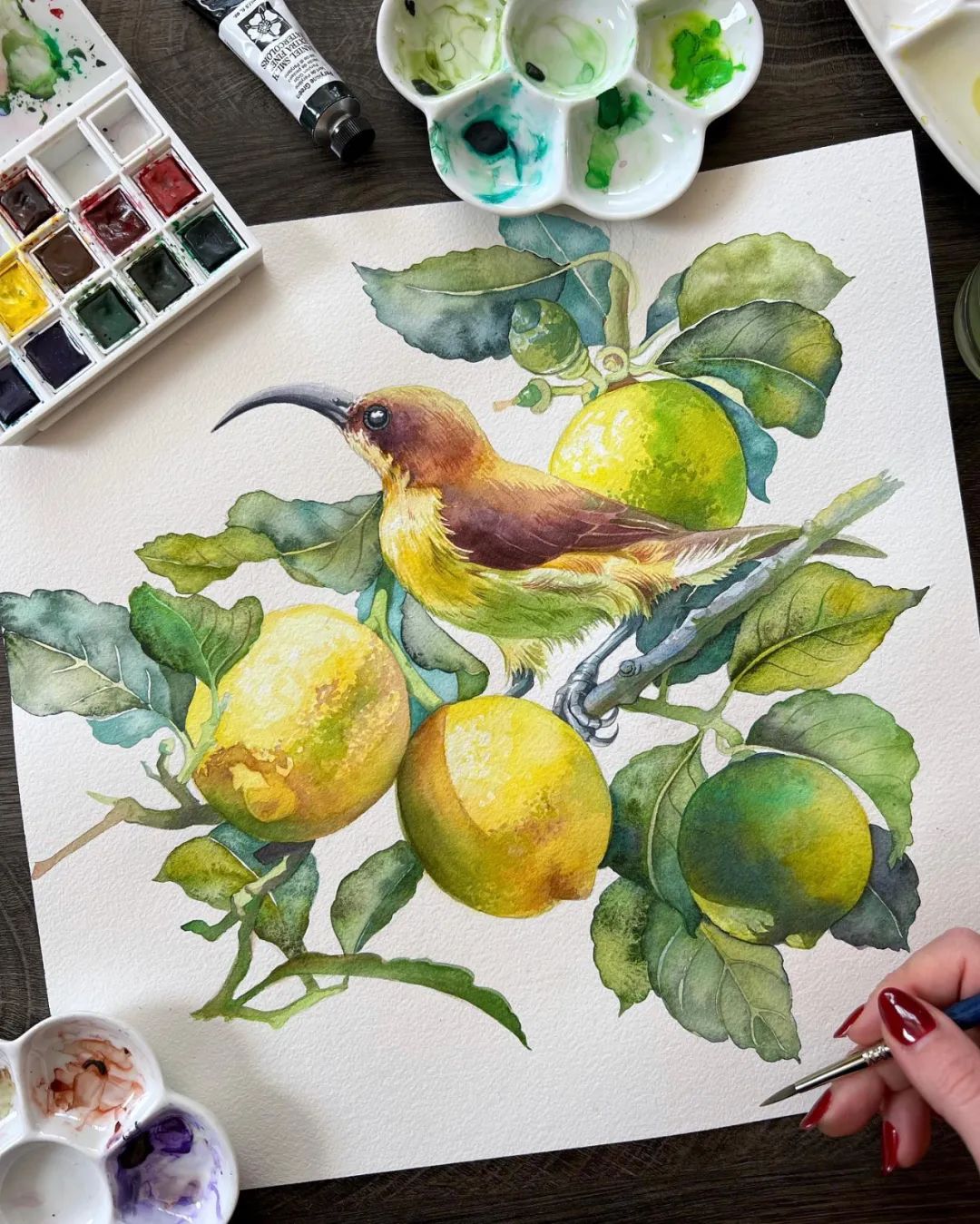 大神级水彩作品看完肯定不后悔,40张笔触狂放的水彩