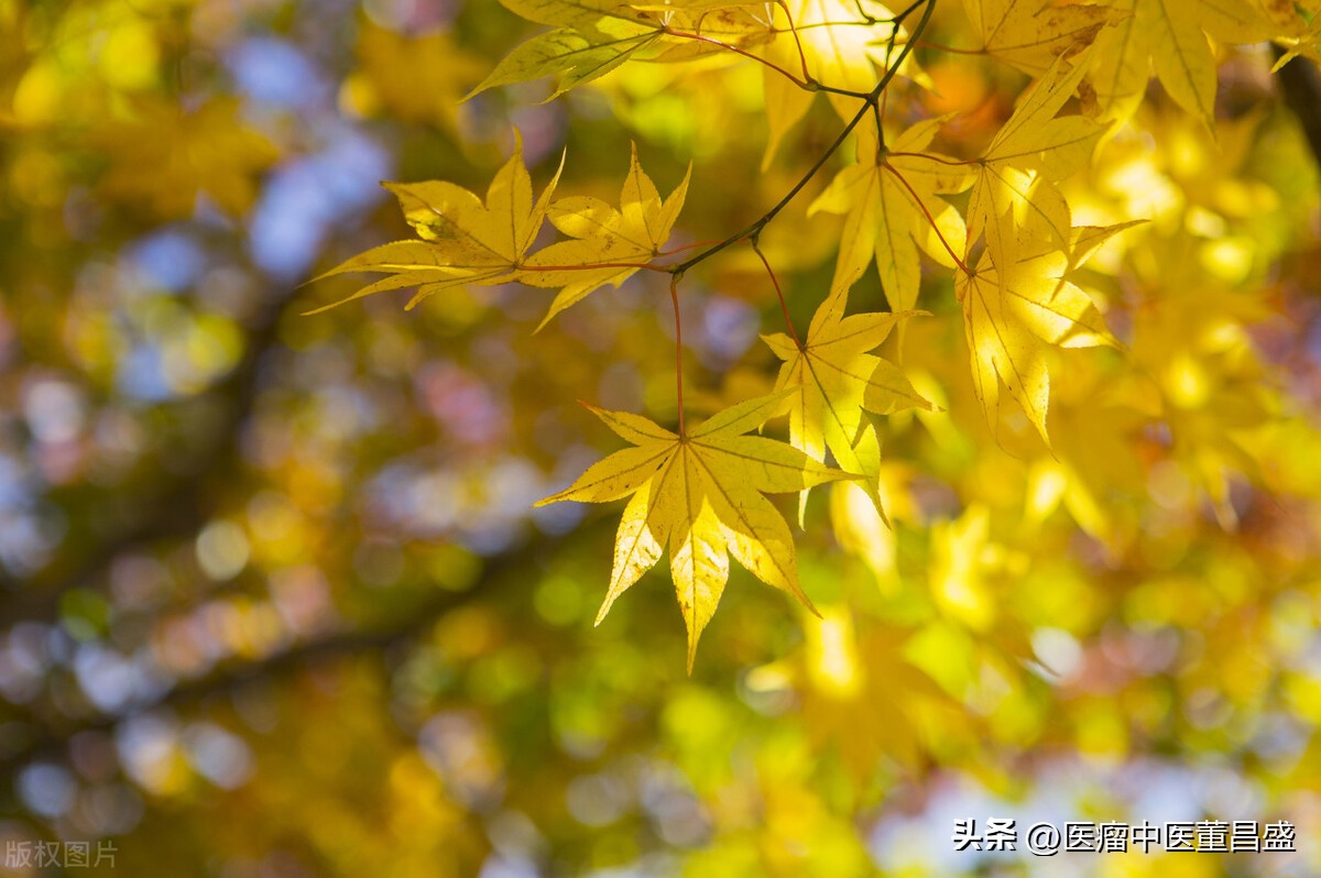 癌症病人分享的得病经历,患癌患者分享抗癌心路历程