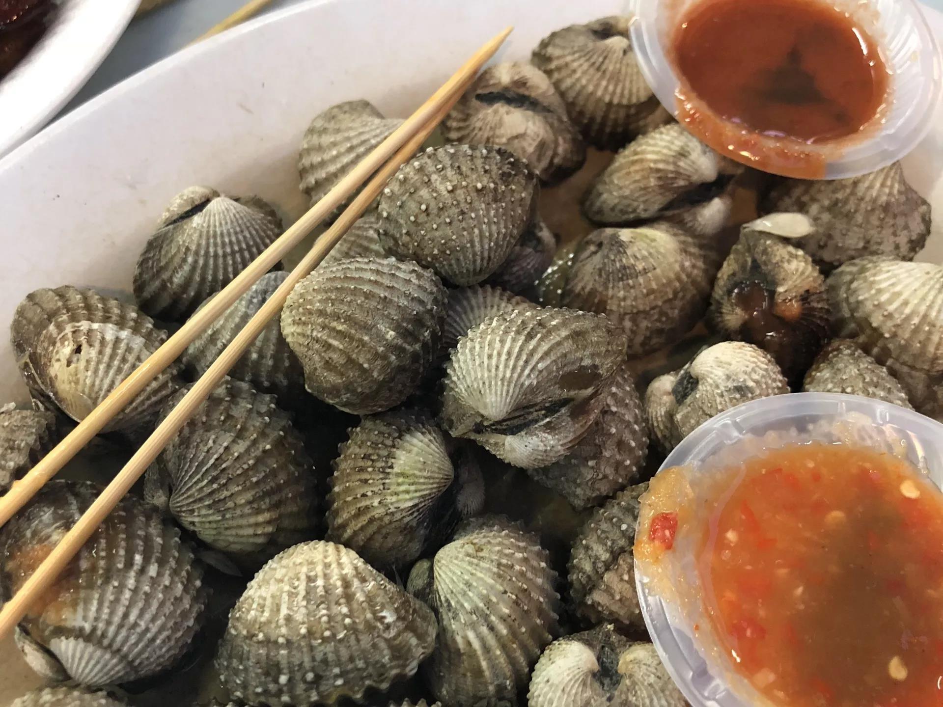 钱猫猫王者荣耀,钱猫猫的视频