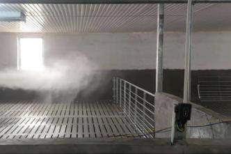 野猪养殖技术资料有哪些,3万元的野猪养殖技术