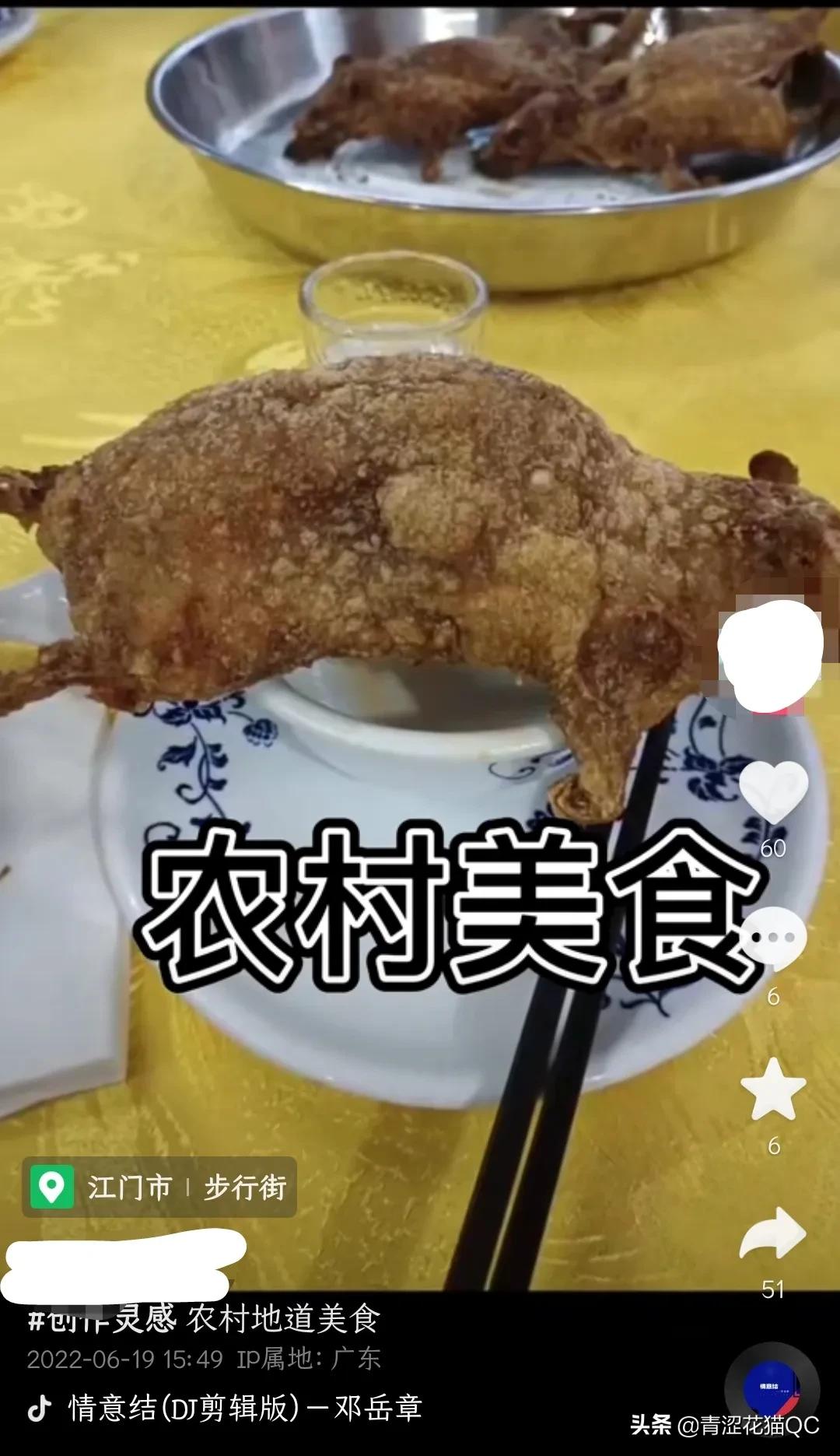 广东老鼠的习惯,吃老鼠哪里的习俗