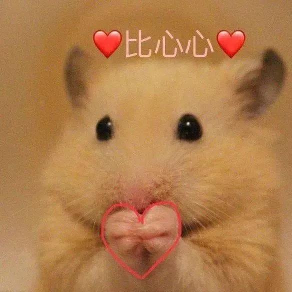 离职后五险一金哪几项可以自己交,单位交社保五险一金都是哪几项