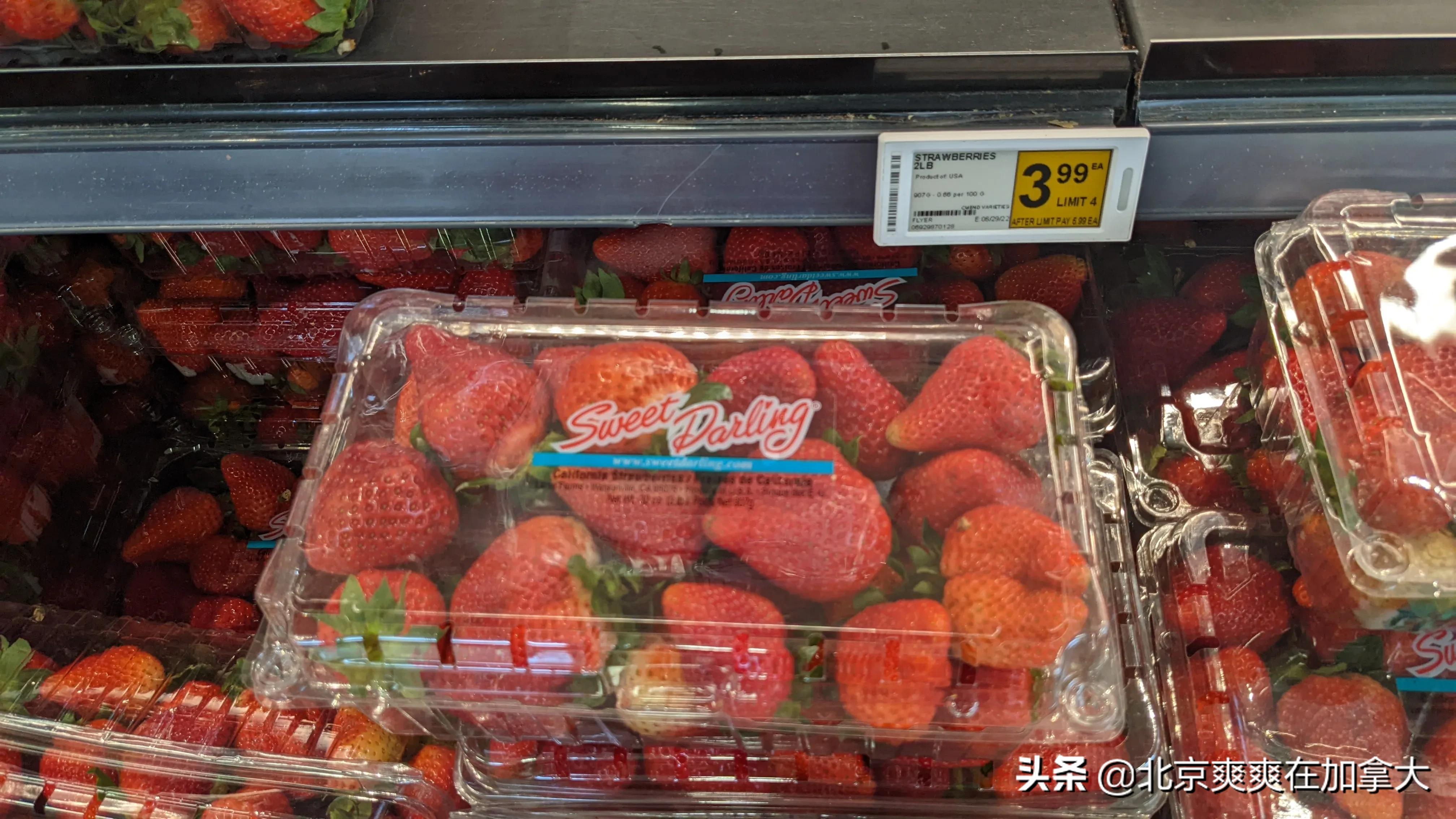 加拿大城市物价排行,去外国人的超市里买东西