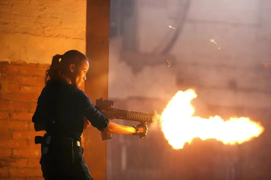 五部暴爽动作电影极线杀手推荐,欧美十部顶级变态杀手电影