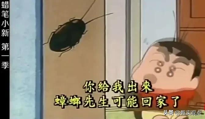 中国蟑螂工厂,中国大型蟑螂工厂