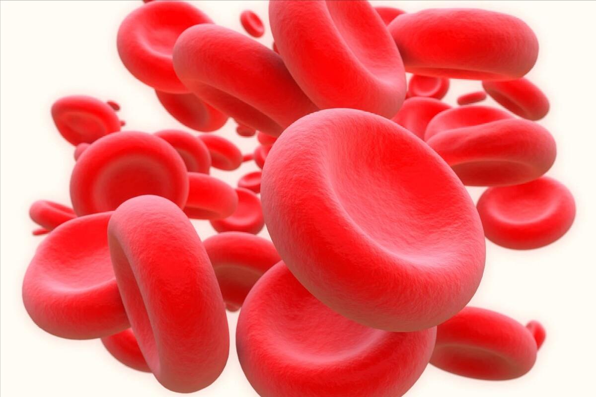 血管外科刁永鹏主任,北京医院血管外科刁永鹏