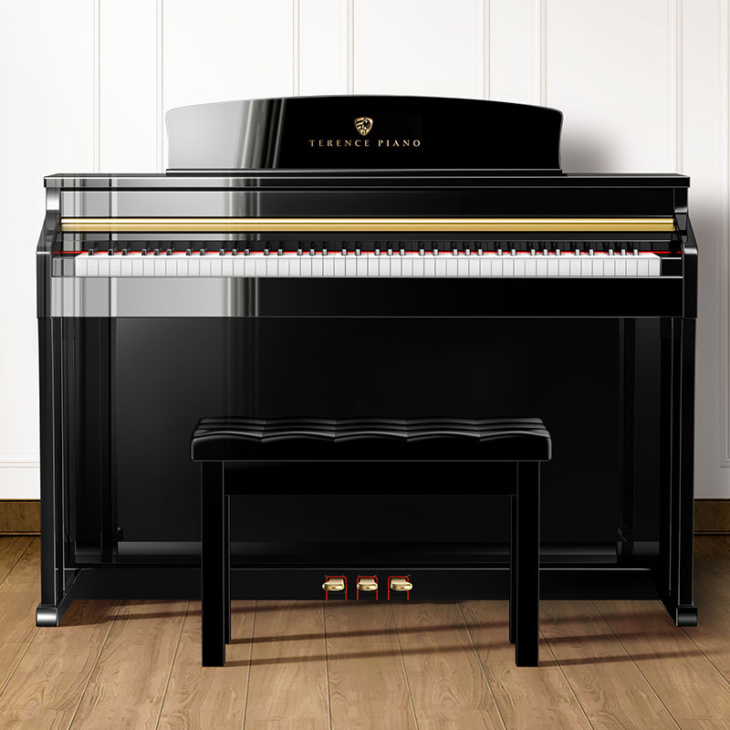 特伦斯电钢琴手感如何,特伦斯电钢琴内录方法