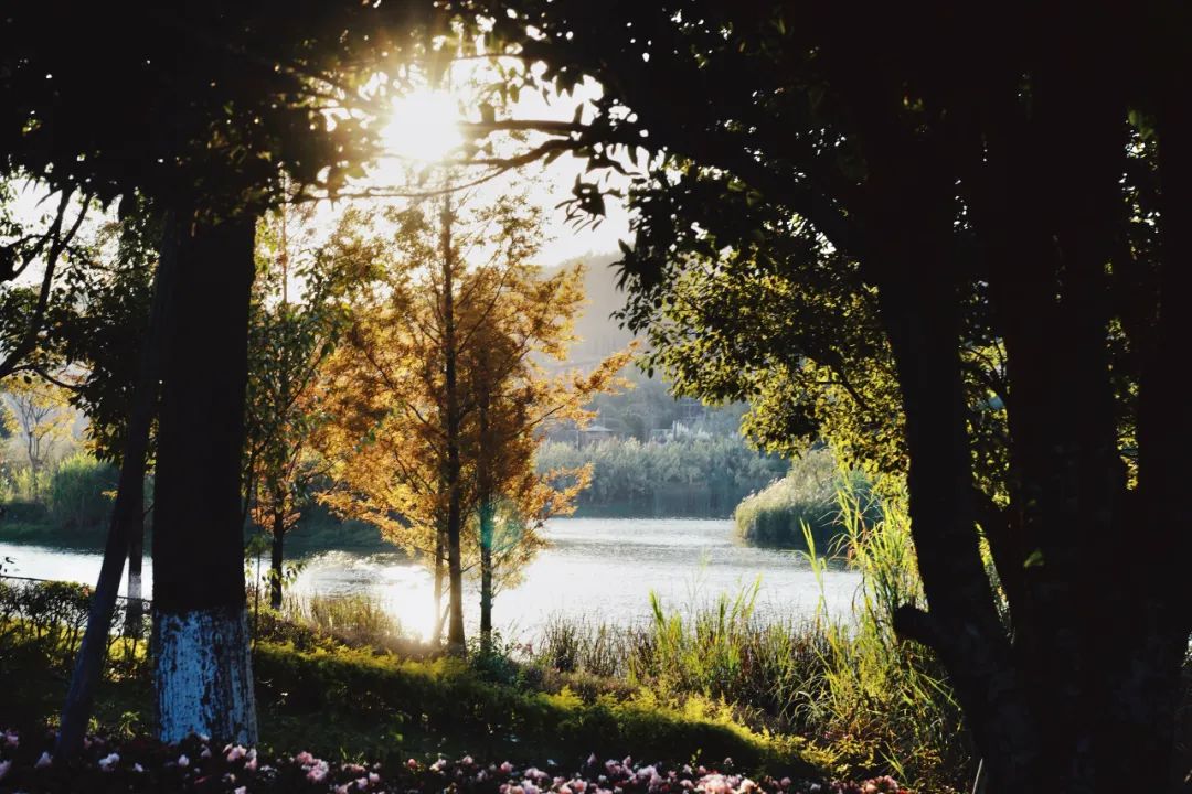 公司的旅游团建必须去吗,旅游团建机构有哪些好的