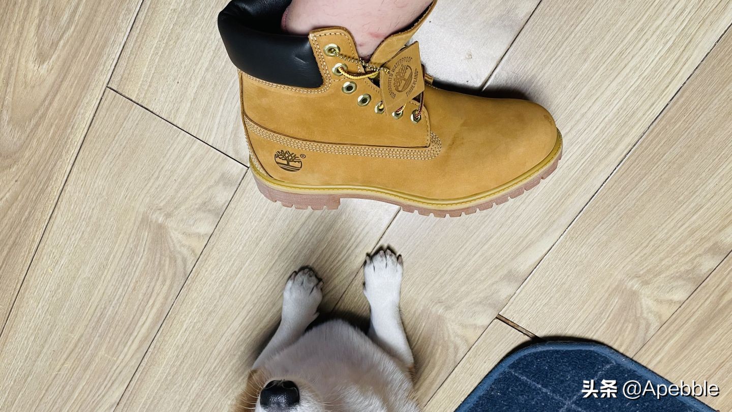 timberland大黄靴10061真假,踢不烂男款大黄靴测评