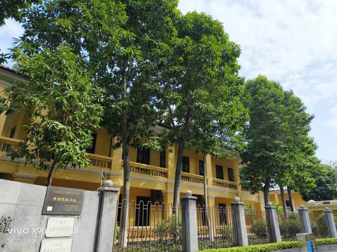 vivox90测评最新,vivox90最新体验测评