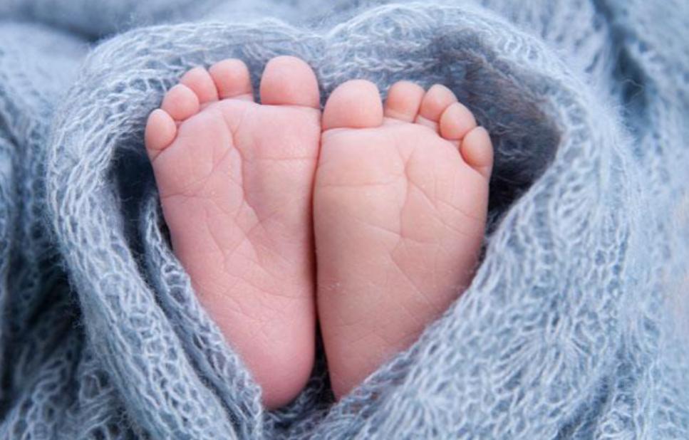 胎儿长相在受孕时就已经决定了吗,胎儿性别从着床时候就决定了吗