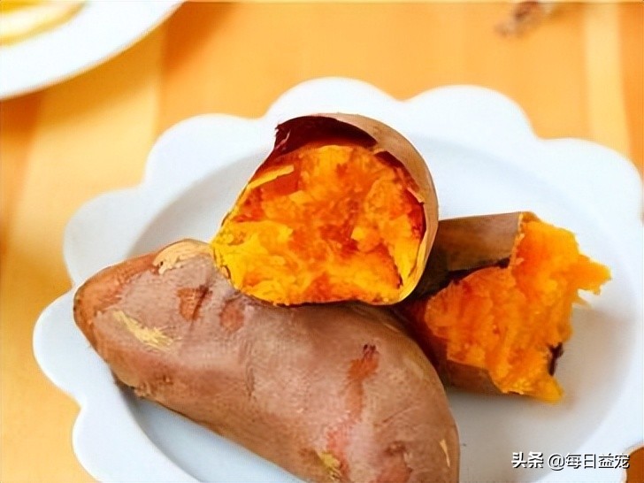 狗狗最爱吃的六种蔬菜,狗狗最爱吃的十种食物