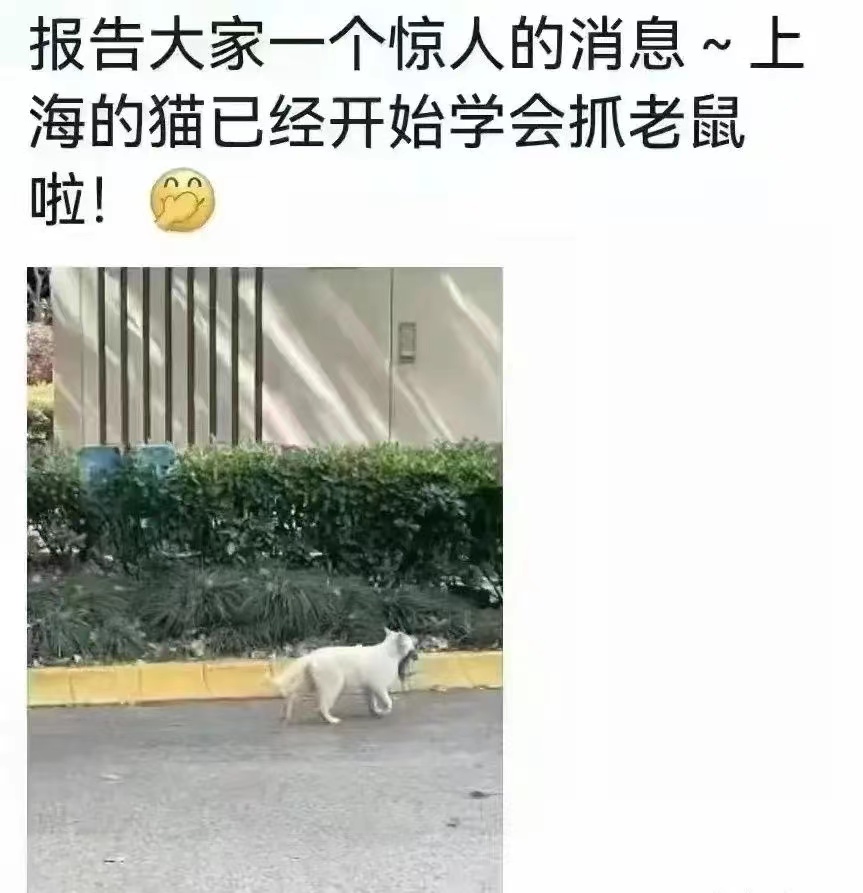 亲历了上海的抗疫过程,亲历疫情之后的生死观之变