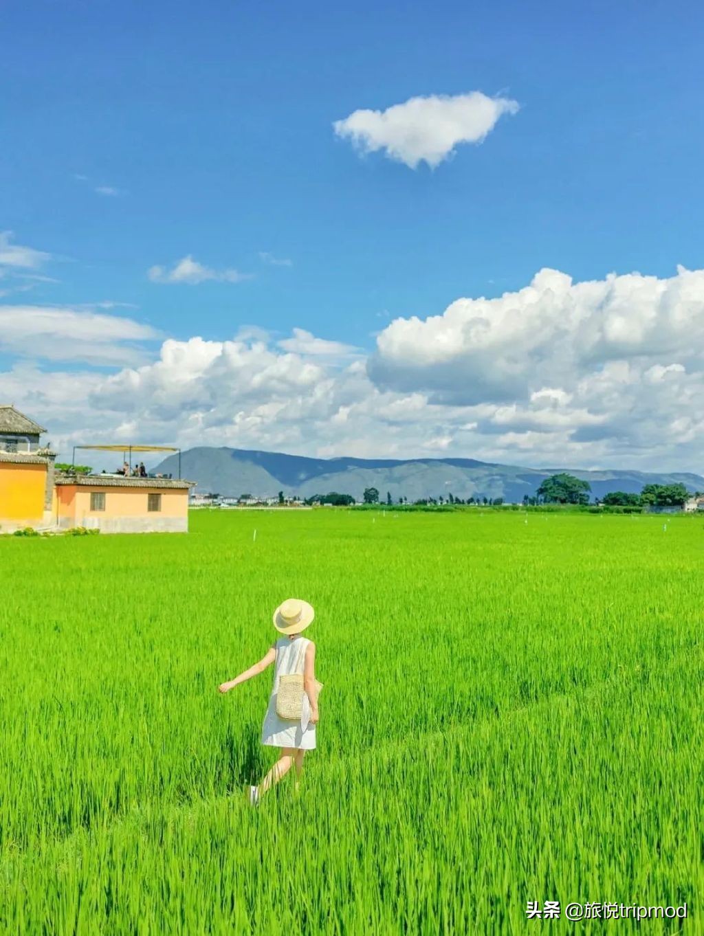 三亚免费适合自驾的环海公路,三亚最美环海公路推荐