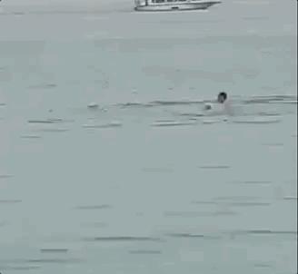 俄罗斯男子在海边被鲨鱼咬死,俄罗斯男子被鲨鱼咬死鲨鱼被捕