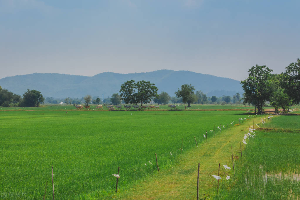门前有田是好是坏,农村俗语盖房不要单出头是啥意思