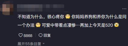 网红金毛coco到底是得了什么病,金毛coco离世原视频