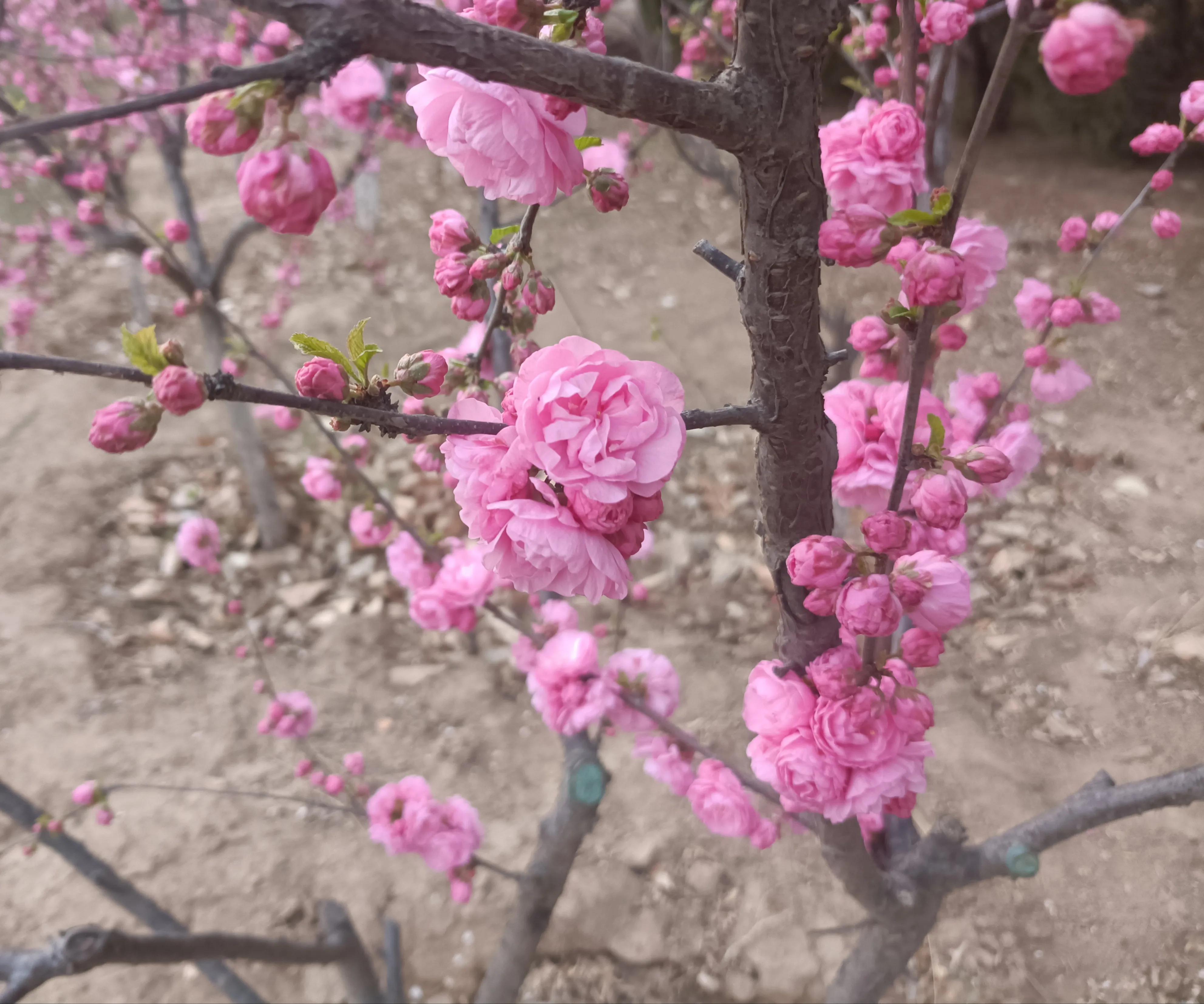 机械行业年薪几十万的是做什么的,机械行业工资待遇怎么样