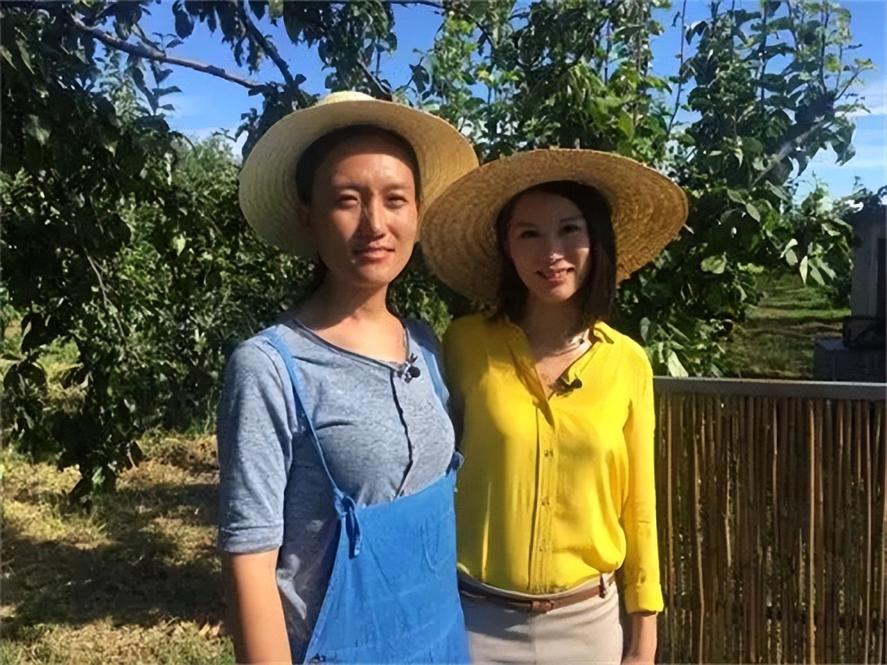 农村女博士靠种地年收入800万,清华女博士种地十一年收入八百万