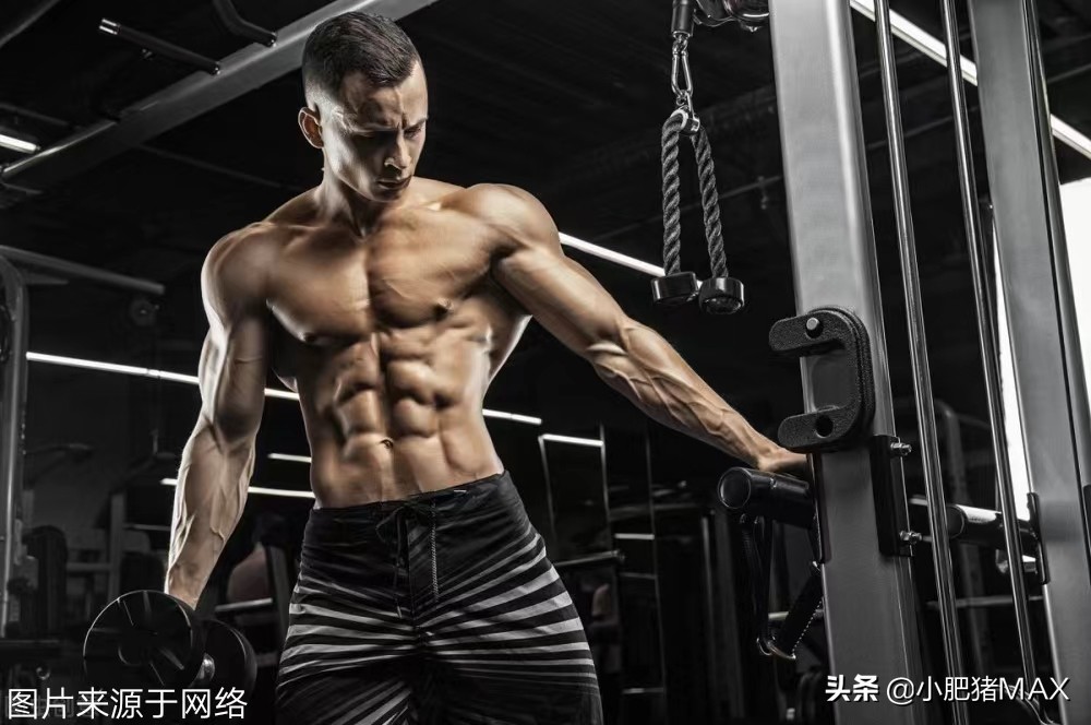 讲真养生训练营是真的吗,健身的真正奥秘