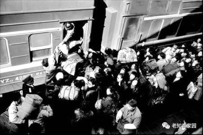 我的苦乐人生——下乡九年的蹉跎岁月