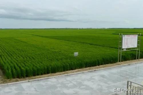 平凡人的创业故事简短,平凡人创业故事纪录片