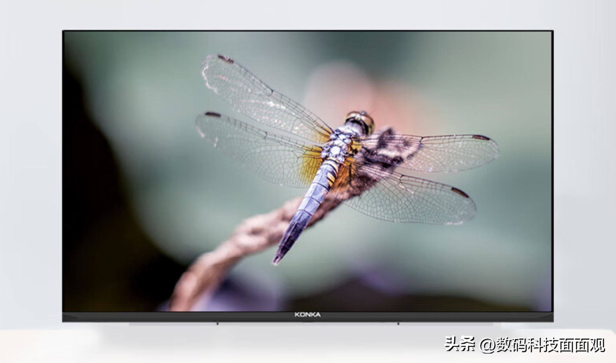 老年电视推荐不用网,开机无广告非智能电视机推荐