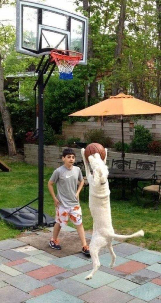 克林顿布什奥巴马合影,克林顿希拉里老照片