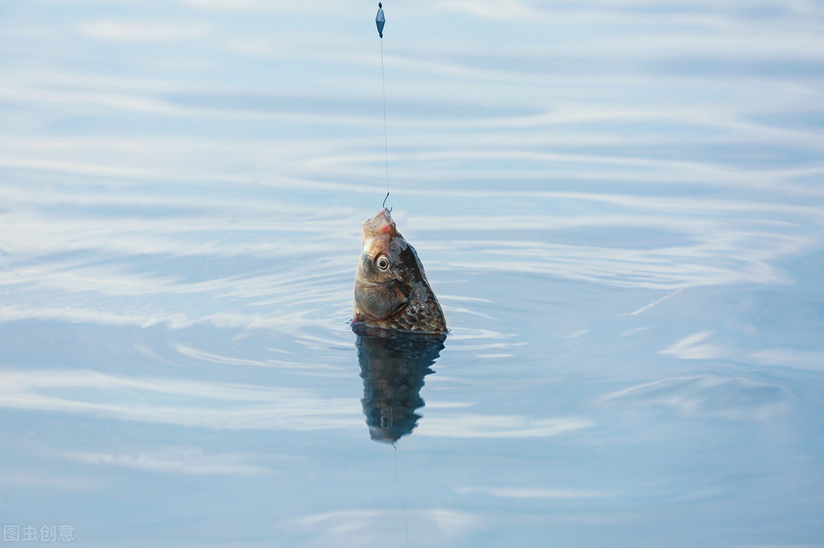 3.6米矶竿滑漂如何抛竿,矶竿滑漂抛竿方法视频