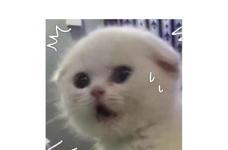 ohmygod怎么用在句子里,ohmygod是一个词还是一个句子