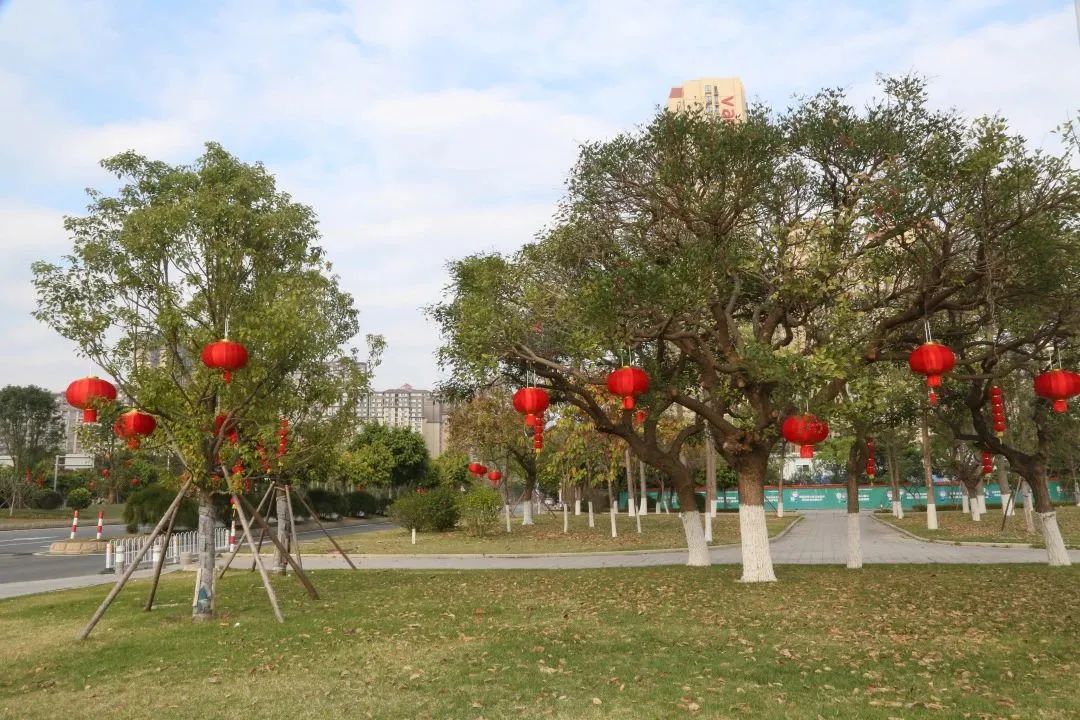 新春走基层年渐近年味浓,新春走基层石头村高挂迎客来