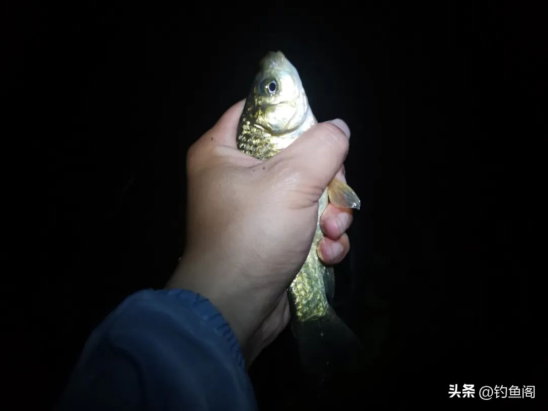 夜光漂怎么调才灵敏,夜光漂怎么调灵敏