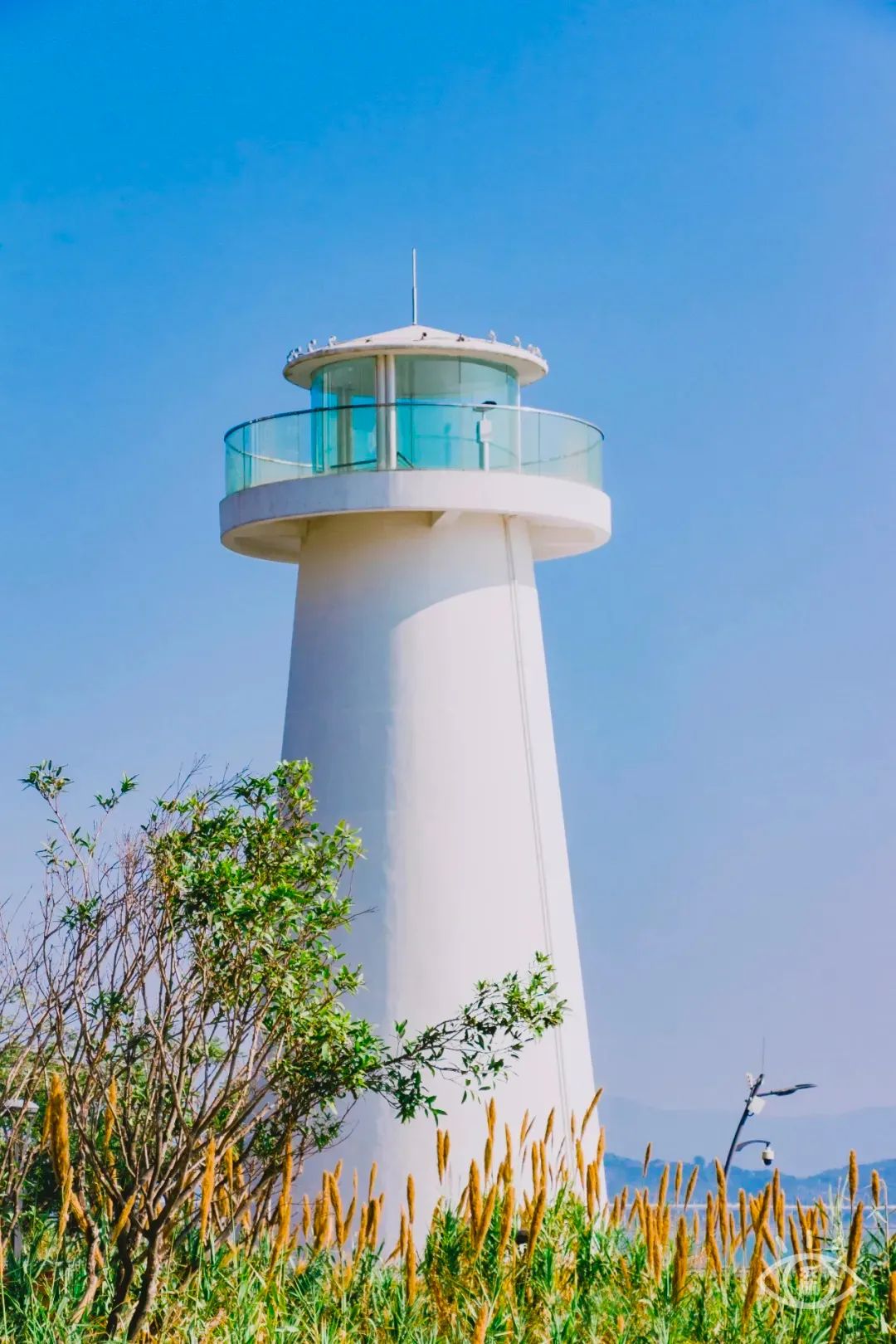 深圳10个小众打卡地免费游玩,深圳小众海边游玩攻略