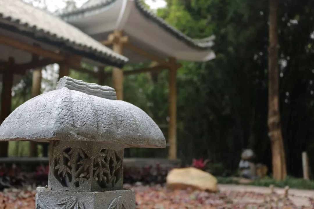 罗湖好玩拍照打卡地方推荐,罗湖游玩地点打卡攻略